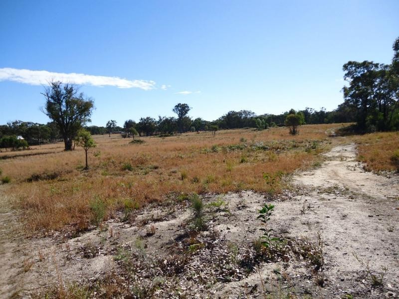 566 Border Road, Dalcouth, Stanthorpe QLD 4380