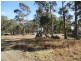 566 Border Road, Dalcouth, Stanthorpe QLD 4380
