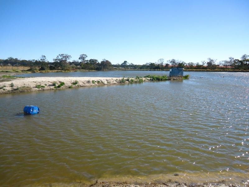 49 Bertinazzi Lane, Pozieres, Stanthorpe QLD 4380