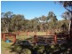 Stanthorpe QLD 4380