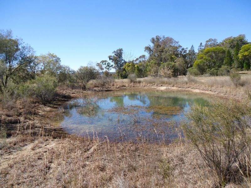 3 Clark Lane, Severnlea, Stanthorpe QLD 4380