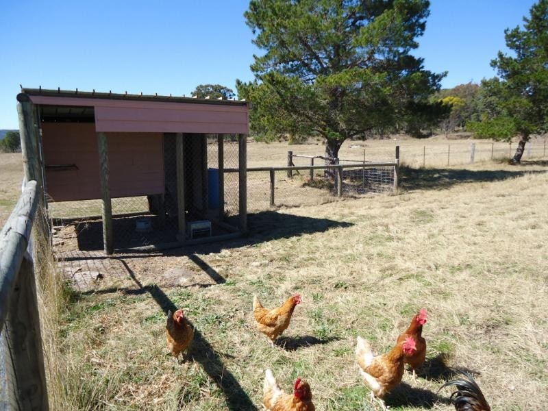 3 Clark Lane, Severnlea, Stanthorpe QLD 4380