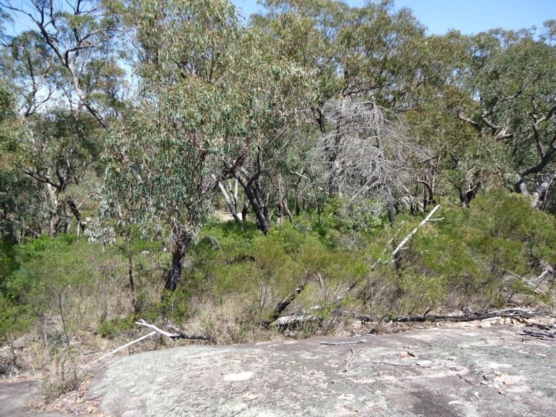 27 Brunckhorst Avenue, Stanthorpe, Stanthorpe QLD 4380