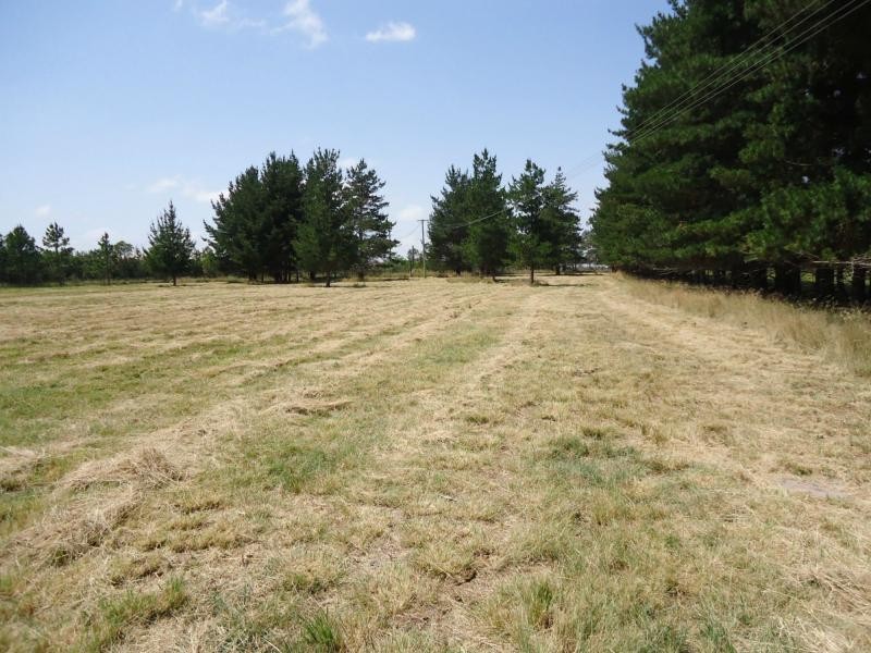 159 Tennant Road, The Summit, Stanthorpe QLD 4380