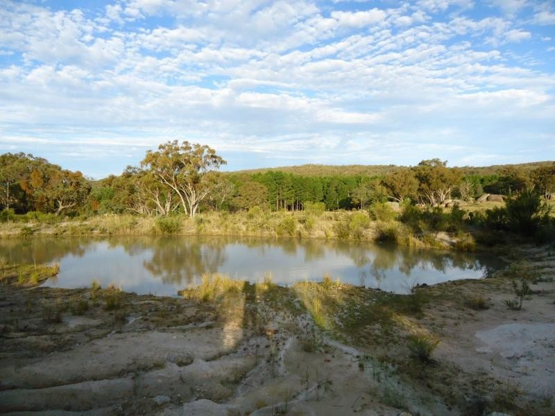 184 Yarnold Road, Amiens, Stanthorpe QLD 4380