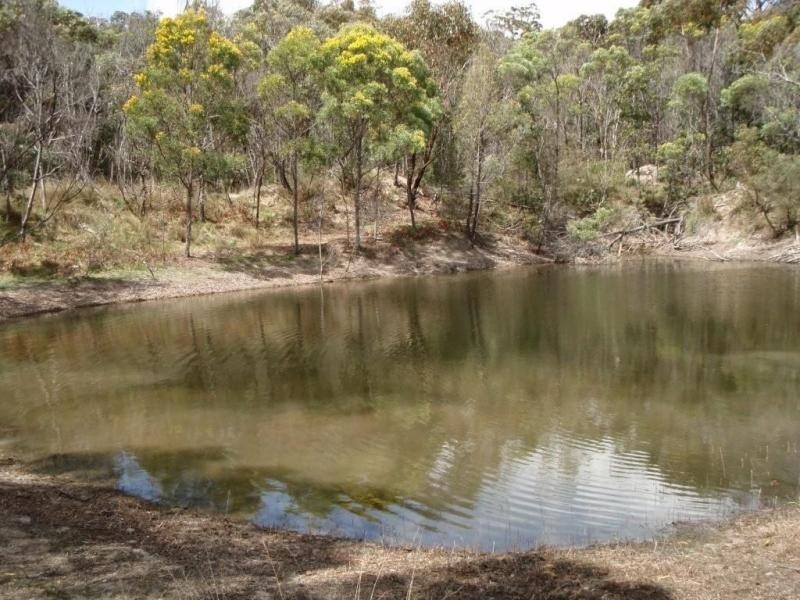 1114 Rabbit Fence Road, Dalveen, Stanthorpe QLD 4380