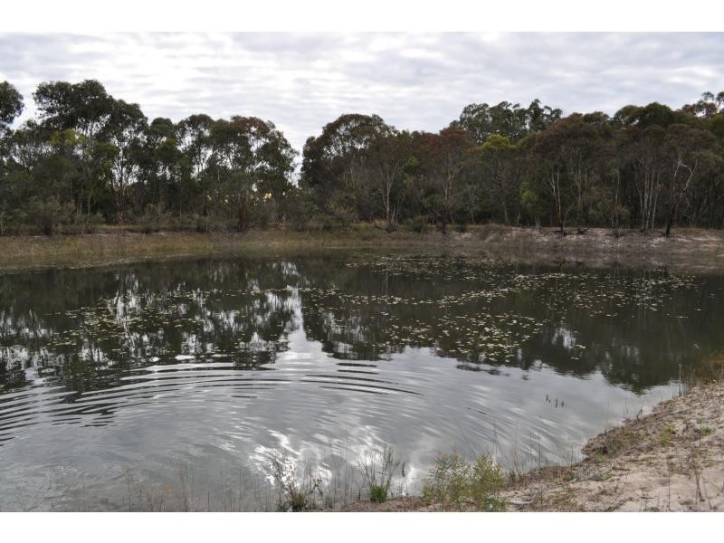 1114 Rabbit Fence Road, Dalveen, Stanthorpe QLD 4380