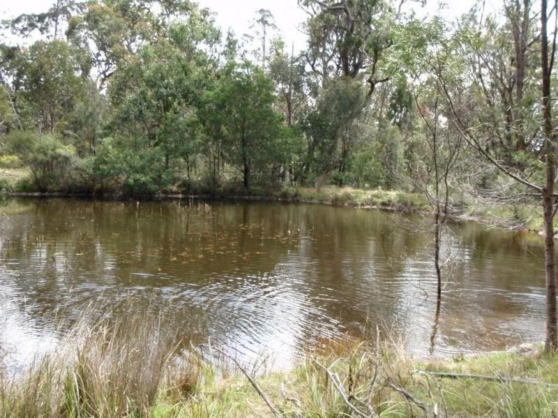 1114 Rabbit Fence Road, Dalveen, Stanthorpe QLD 4380