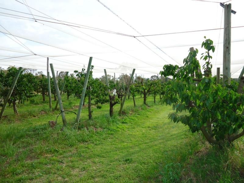 27165 New England Highway, Glen Aplin, Stanthorpe QLD 4380