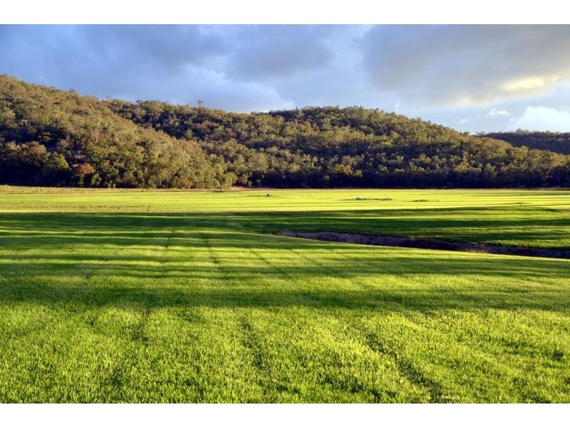 272 Back Creek Road, Severnlea, Stanthorpe QLD 4380