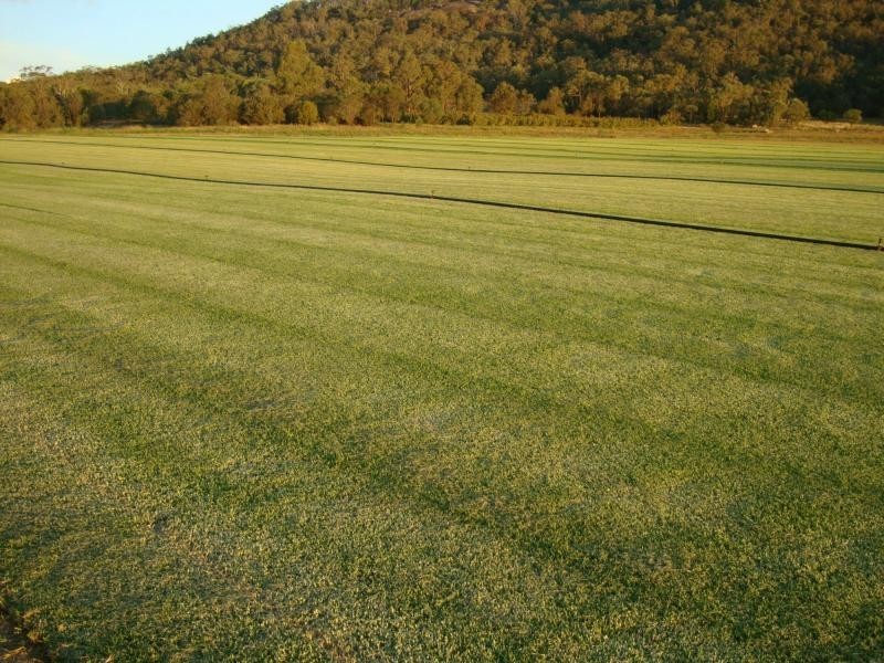 272 Back Creek Road, Severnlea, Stanthorpe QLD 4380