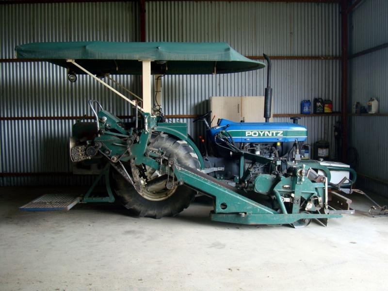 272 Back Creek Road, Severnlea, Stanthorpe QLD 4380