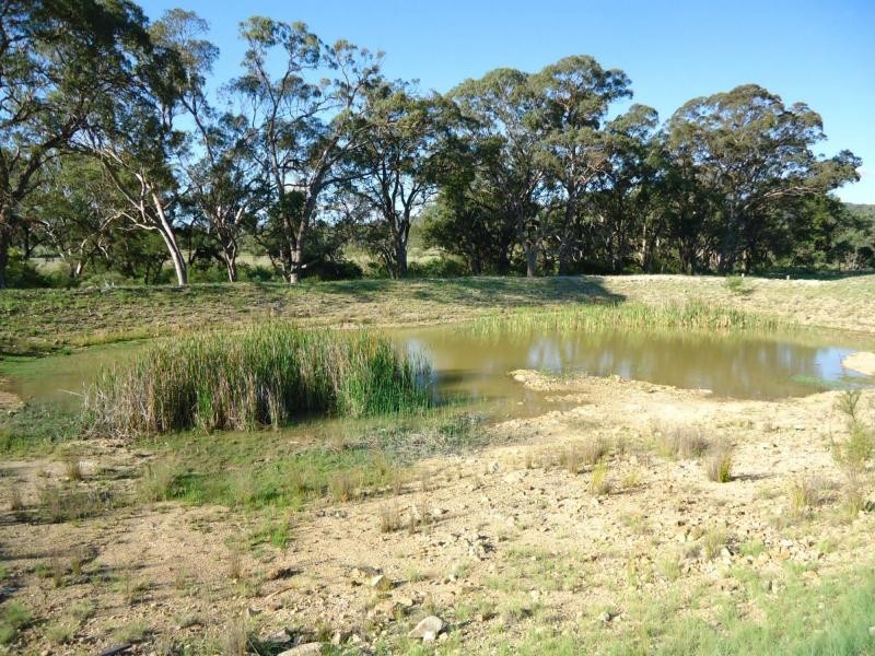 54 Curtin Road, Ballandean, Stanthorpe QLD 4380