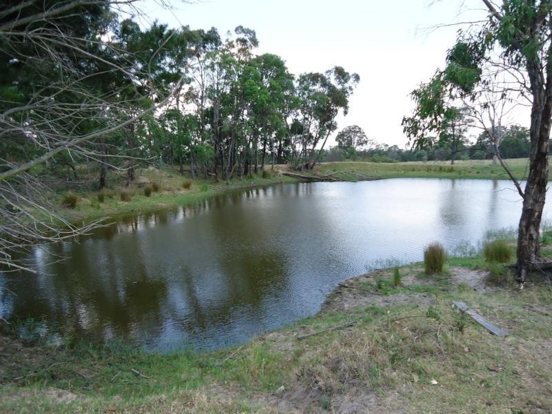 31 Minuti Lane, Amiens, Stanthorpe QLD 4380
