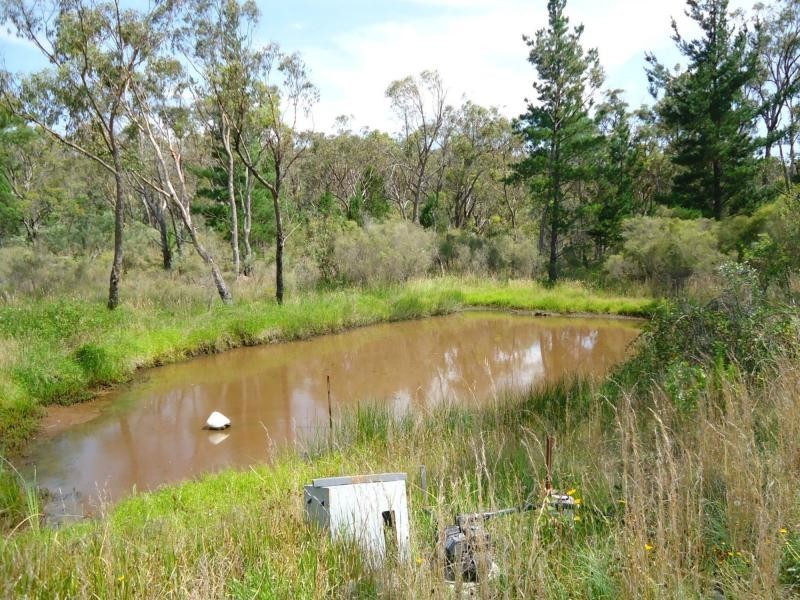 387 Amosfield Road, Stanthorpe QLD 4380