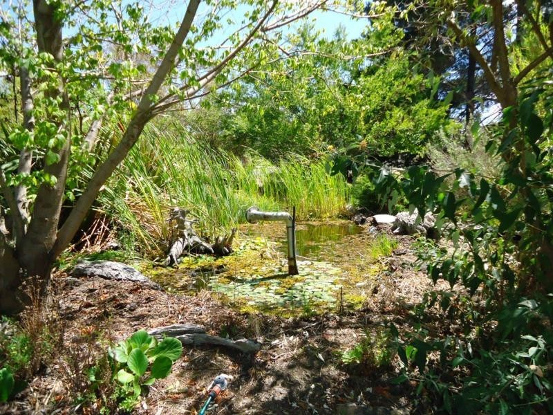 79 Connor Street, Stanthorpe QLD 4380
