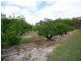 132 Knibb Road, Severnlea, Stanthorpe QLD 4380