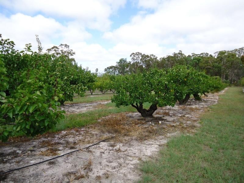 132 Knibb Road, Severnlea, Stanthorpe QLD 4380
