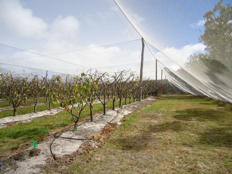 132 Knibb Road, Severnlea, Stanthorpe QLD 4380