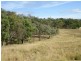 21 Lynams Road, Ballandean, Stanthorpe QLD 4380
