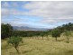 21 Lynams Road, Ballandean, Stanthorpe QLD 4380