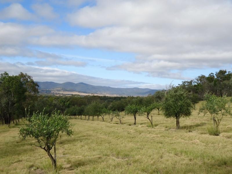 21 Lynams Road, Ballandean, Stanthorpe QLD 4380