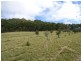 21 Lynams Road, Ballandean, Stanthorpe QLD 4380