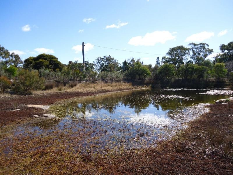 57 Hale Haven Drive, Stanthorpe QLD 4380