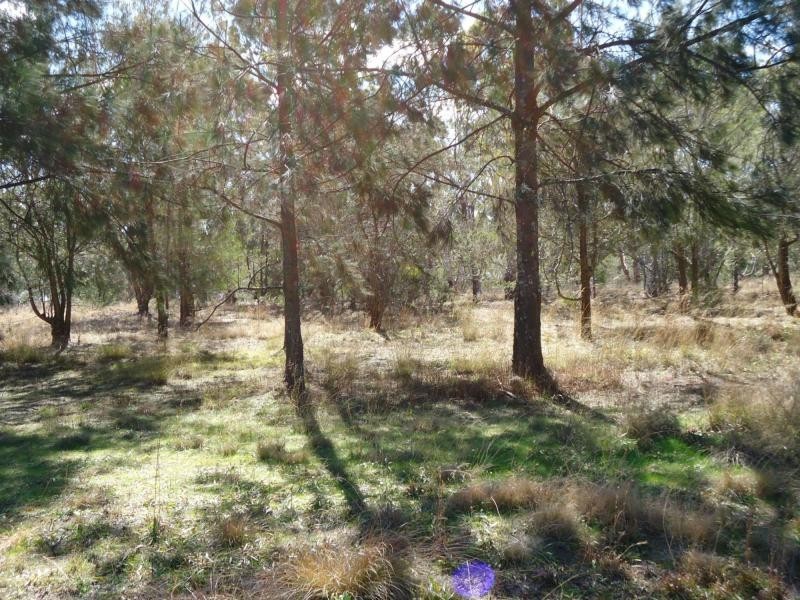 L1 Hale Haven Drive, Stanthorpe QLD 4380