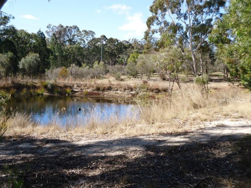 L1 Hale Haven Drive, Stanthorpe QLD 4380