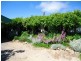 1008 Nundubbermere Road, Stanthorpe QLD 4380