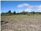 1008 Nundubbermere Road, Stanthorpe QLD 4380