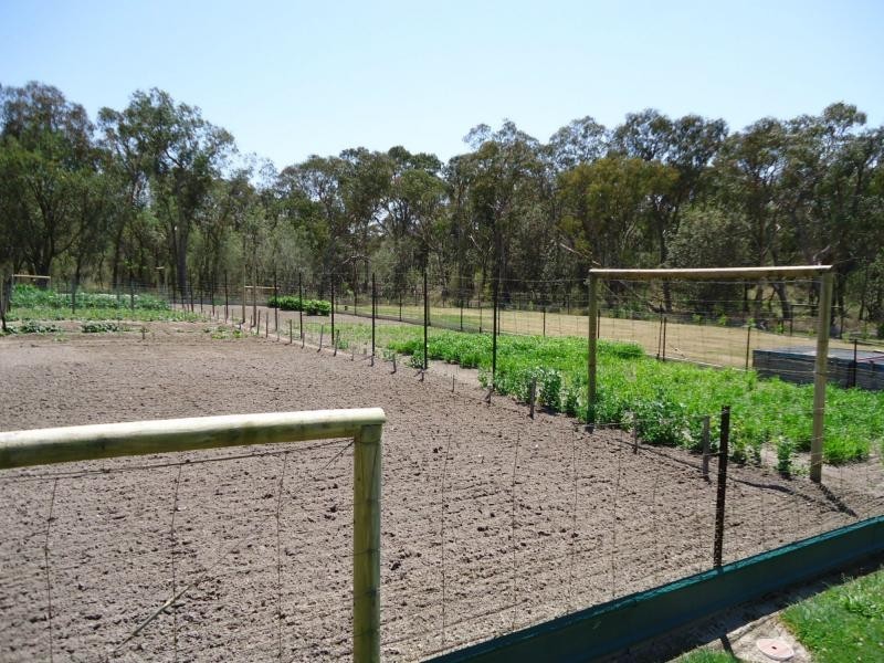 83 Mills Road, Dalcouth, Stanthorpe QLD 4380