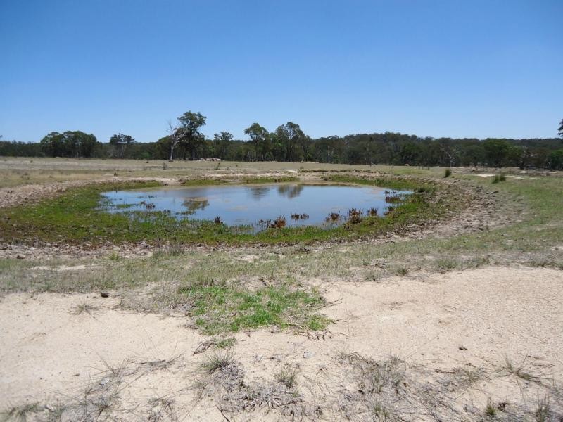 L4 Nundubbermere Road, Nundubbermere, Stanthorpe QLD 4380