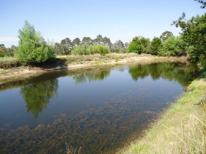 25555 New England Highway, Applethorpe, Stanthorpe QLD 4380