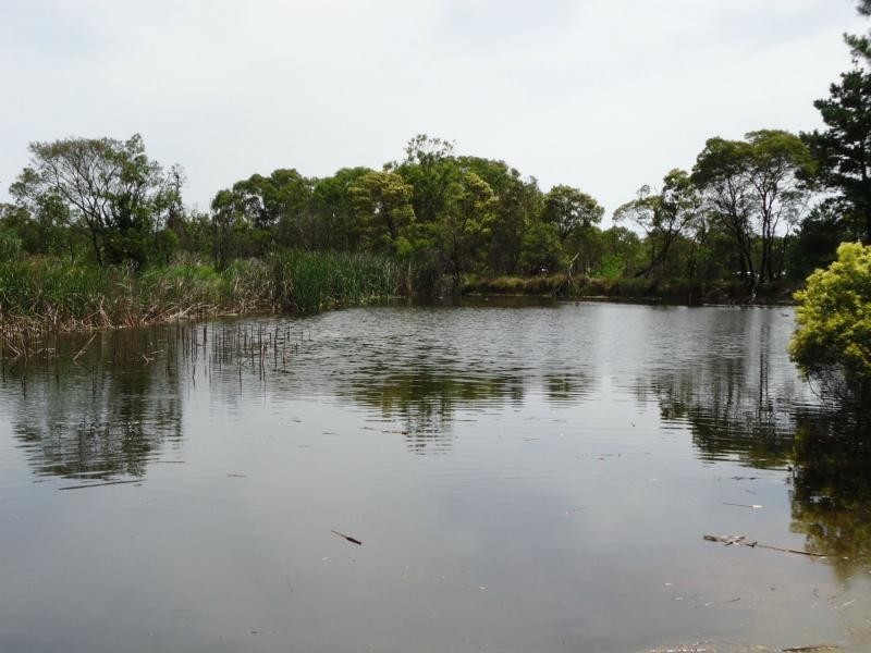 41 Caulley Lane, The Summit, Stanthorpe QLD 4380