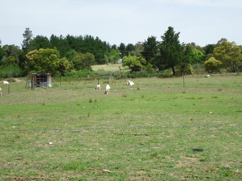 41 Caulley Lane, The Summit, Stanthorpe QLD 4380