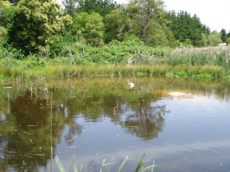 41 Caulley Lane, The Summit, Stanthorpe QLD 4380