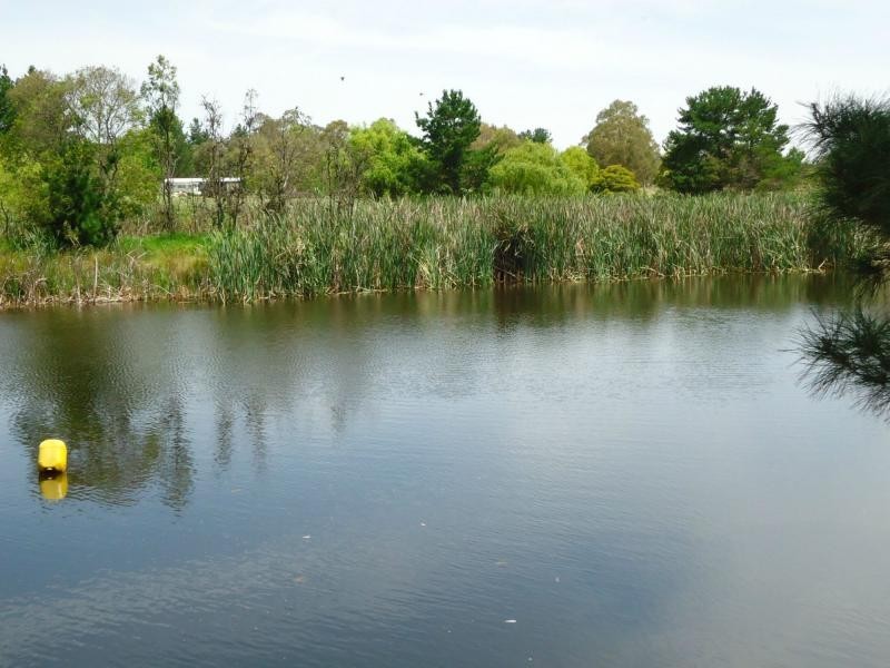 41 Caulley Lane, The Summit, Stanthorpe QLD 4380