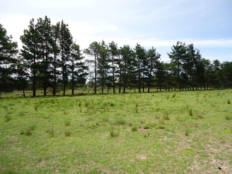 41 Caulley Lane, The Summit, Stanthorpe QLD 4380