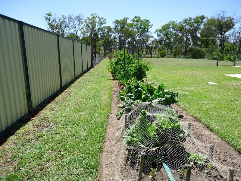 25 Bau Court, Applethorpe, Stanthorpe QLD 4380