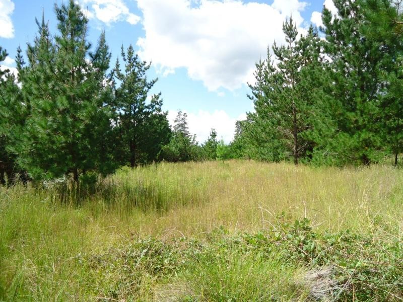 L249 Sunrise Road, Sugarloaf, Stanthorpe QLD 4380