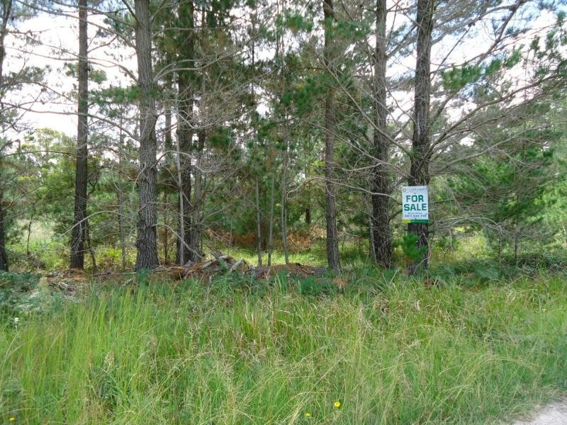 L249 Sunrise Road, Sugarloaf, Stanthorpe QLD 4380