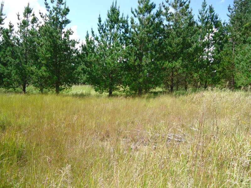 L249 Sunrise Road, Sugarloaf, Stanthorpe QLD 4380