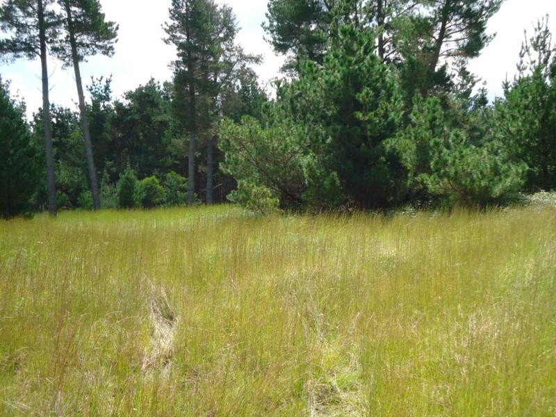 L249 Sunrise Road, Sugarloaf, Stanthorpe QLD 4380