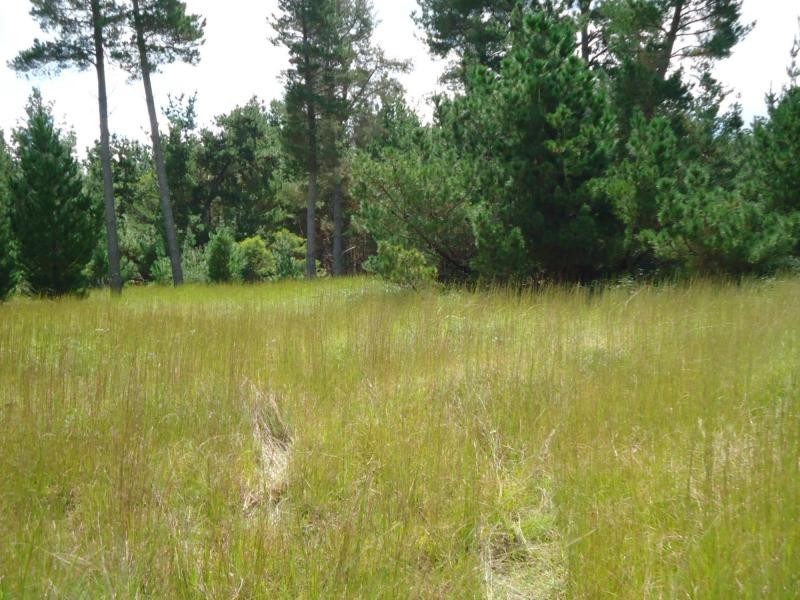 L249 Sunrise Road, Sugarloaf, Stanthorpe QLD 4380