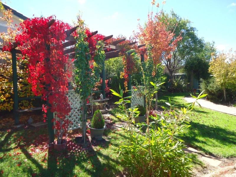 21 Fairway Crescent, Stanthorpe QLD 4380