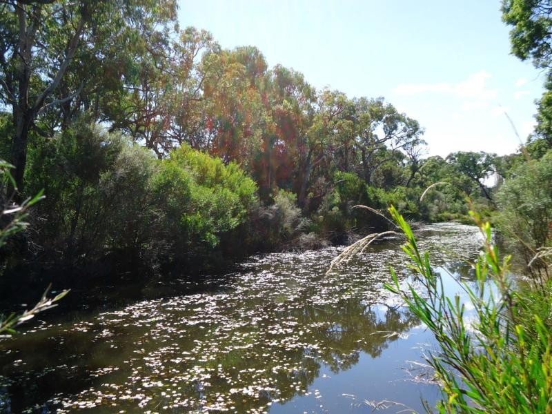 L104 Diamondvale Road, Stanthorpe QLD 4380