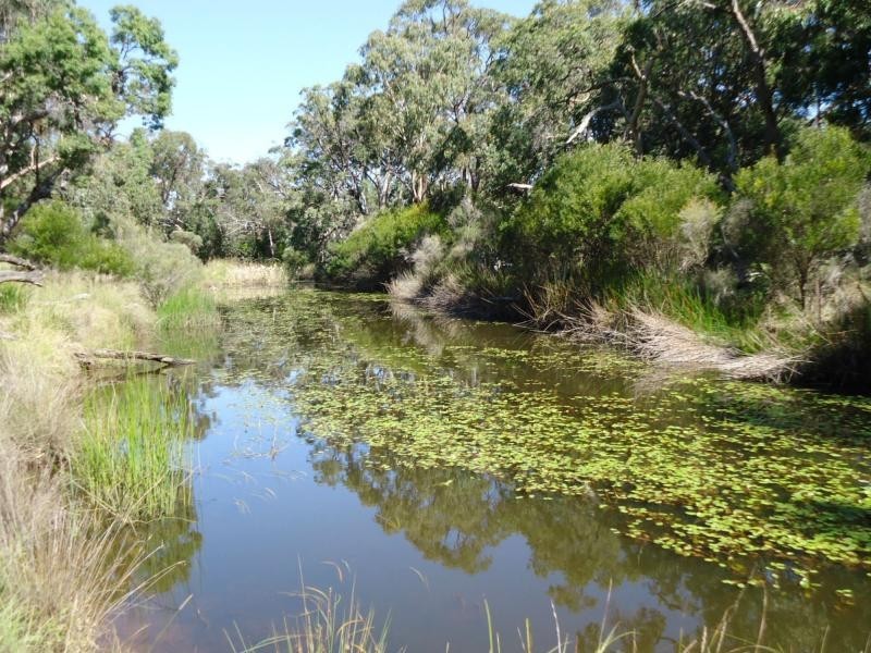 L104 Diamondvale Road, Stanthorpe QLD 4380