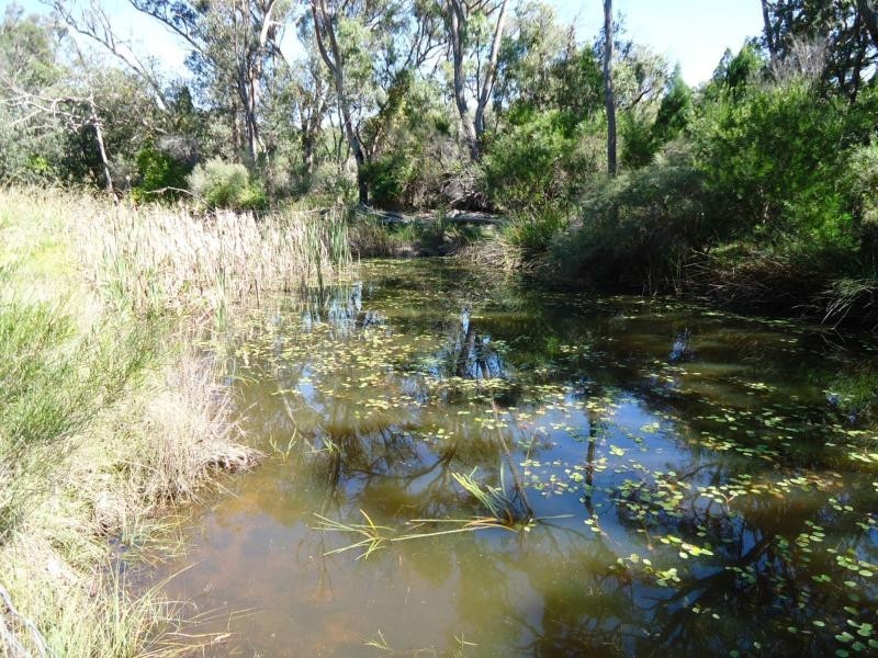 L104 Diamondvale Road, Stanthorpe QLD 4380